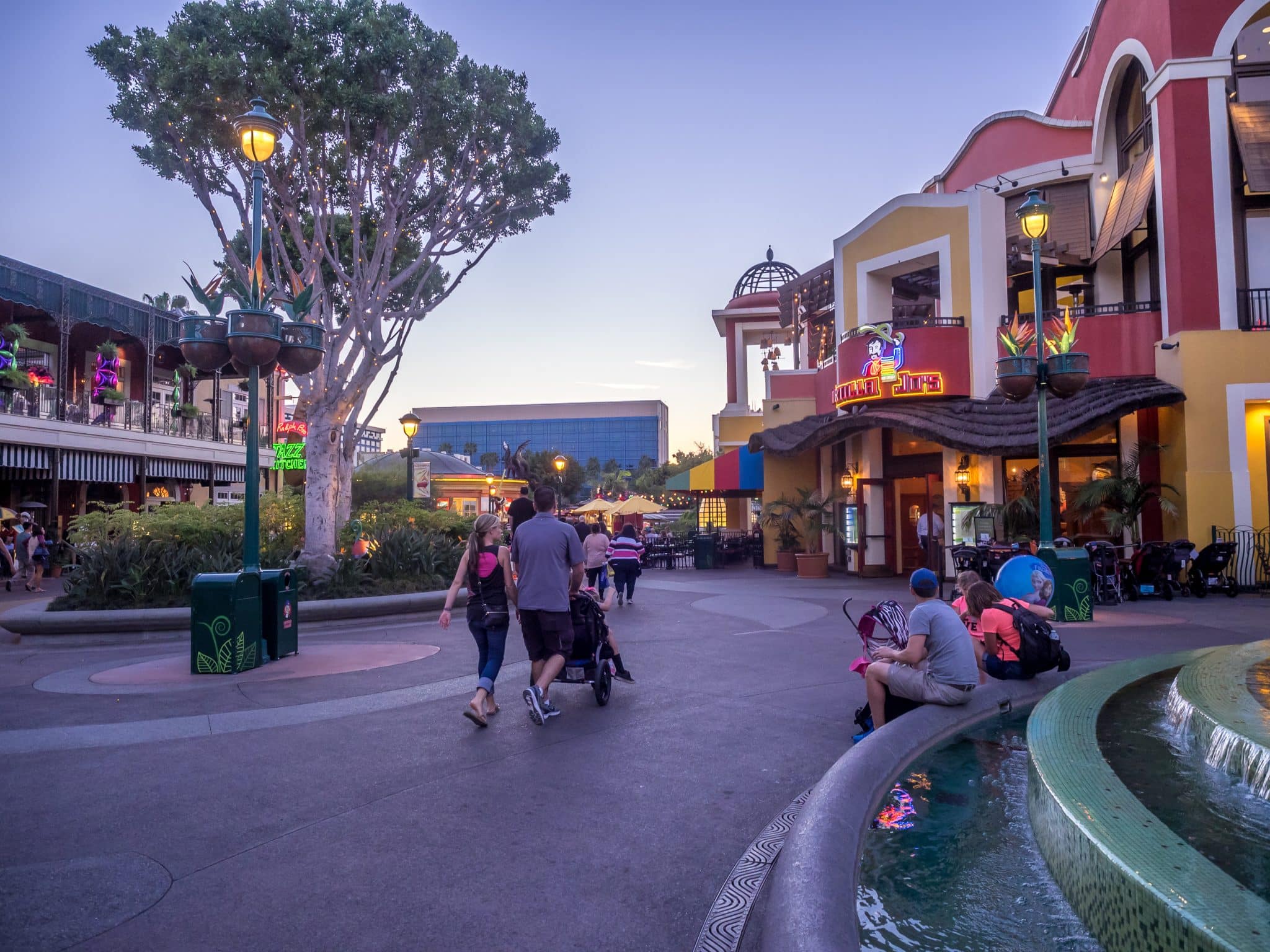 crowded-days-at-disneyland-five-tips-to-save-the-day