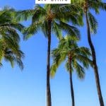 Best Things to do in Oahu