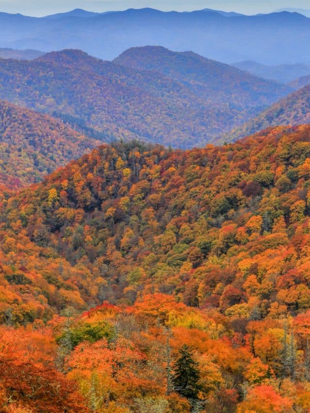 Best National Parks for Fall Foliage