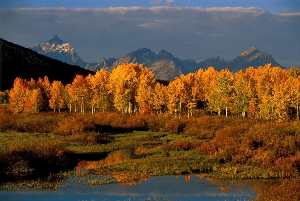 The Best National Parks for Fall Foliage