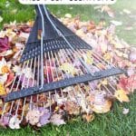 Essential Guide to Fall Deep Cleaning
