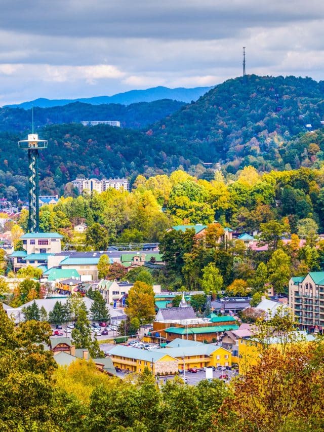 Gatlinburg: Fun Things to Do For Family Members of All Ages