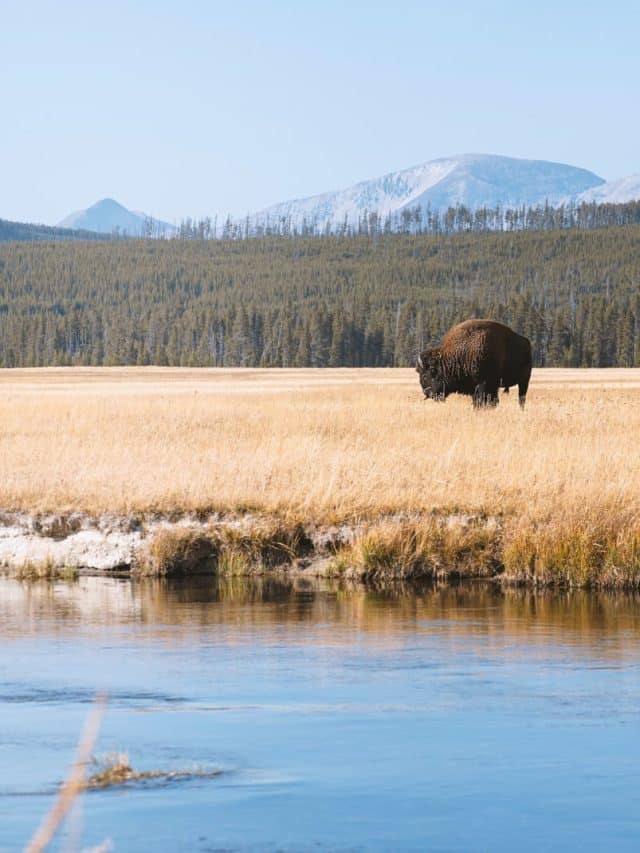 Sites to See along the Lewis and Clark Trail