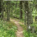 How to Choose the Right Hiking Trail