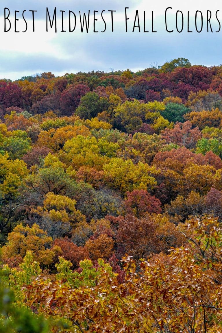 Best Midwest Fall Colors