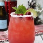 Sparkling Cranberry Prosecco Cocktail
