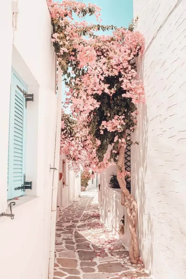 Strolling Around in Greece in the Summer