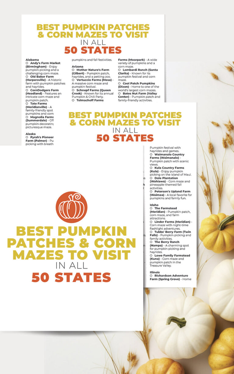 Best Pumpkin Patches in All 50 States