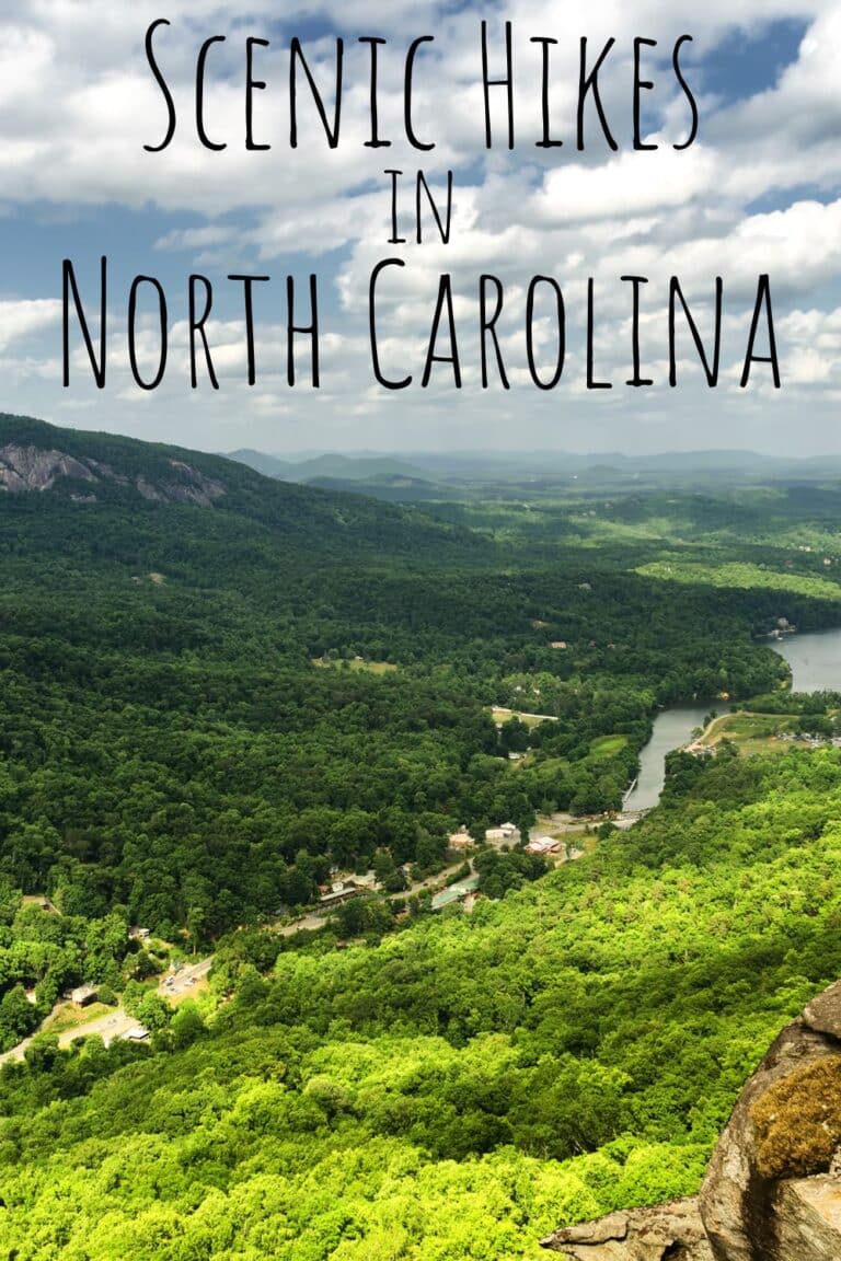 Scenic Hikes in North Carolina