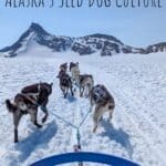 A Brief History of Alaska’s Sled Dog Culture