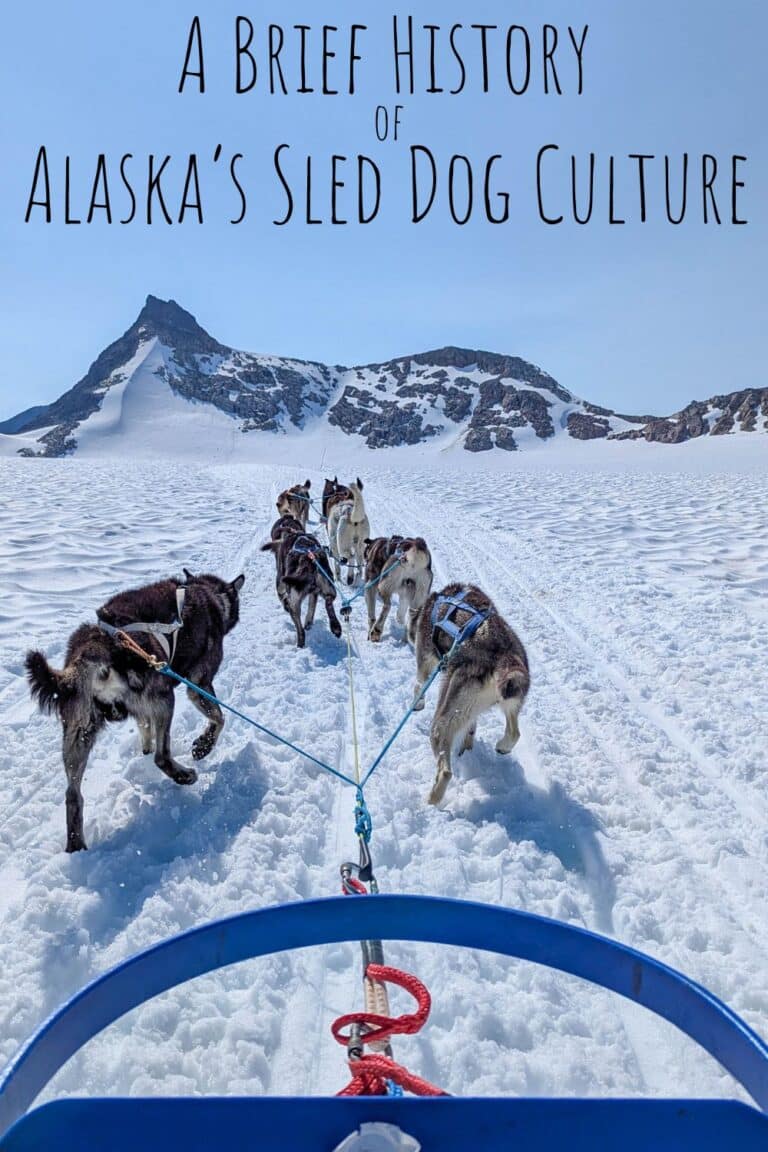 A Brief History of Alaska’s Sled Dog Culture and Craft