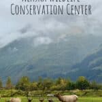 Exploring the Alaska Wildlife Conservation Center