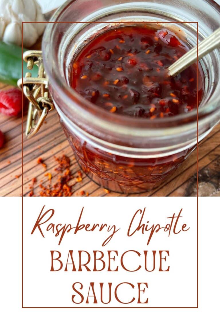 Raspberry Chipotle Barbecue Sauce