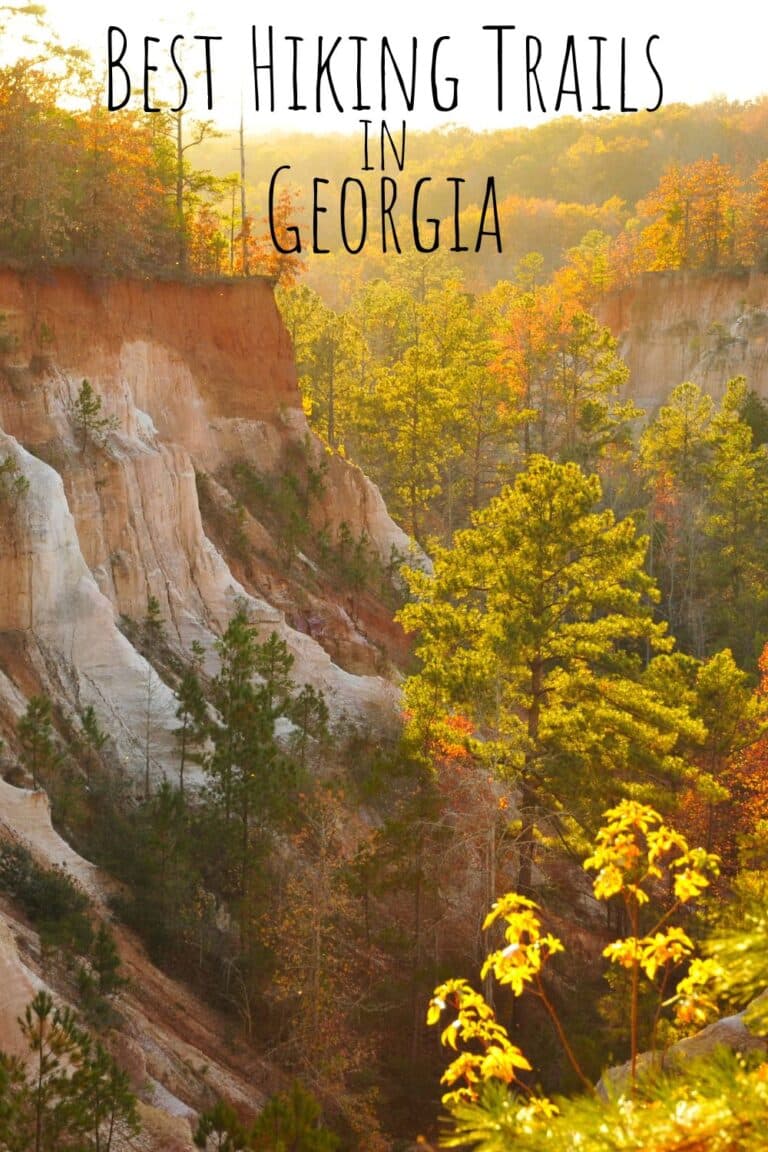 Best Hiking Trails in Georgia