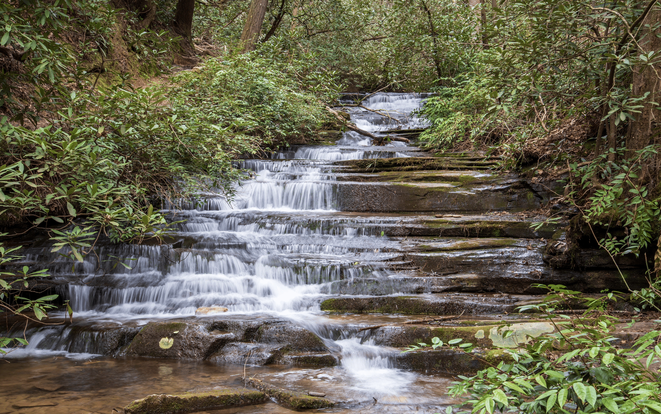 Best Hiking Trails in Georgia