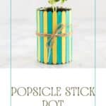 Popsicle Stick Pot