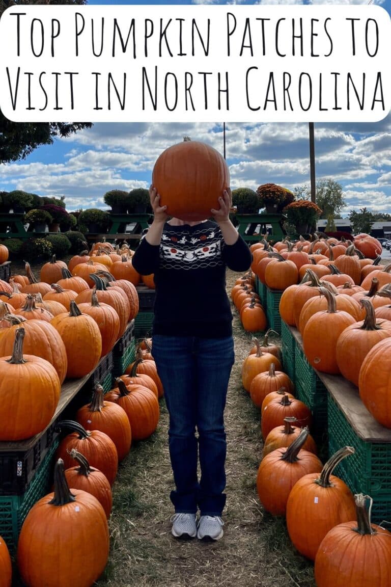 Top Pumpkin Patches to Visit this Fall in North Carolina