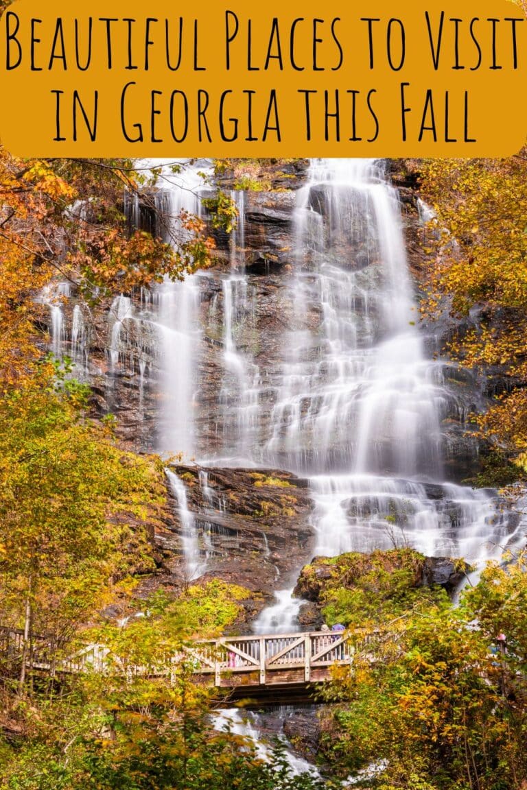 Beautiful Places you Must Visit in Georgia this Fall
